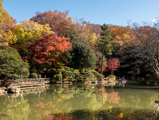 緑豊かで気分爽快!「有栖川宮記念公園」