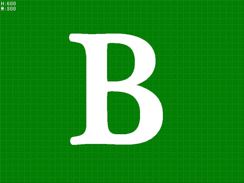 林健土地 条件付売地項目記載なし 間取図・土地図